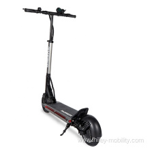 Foldable Two Wheel 600 Watt speed electric scooter